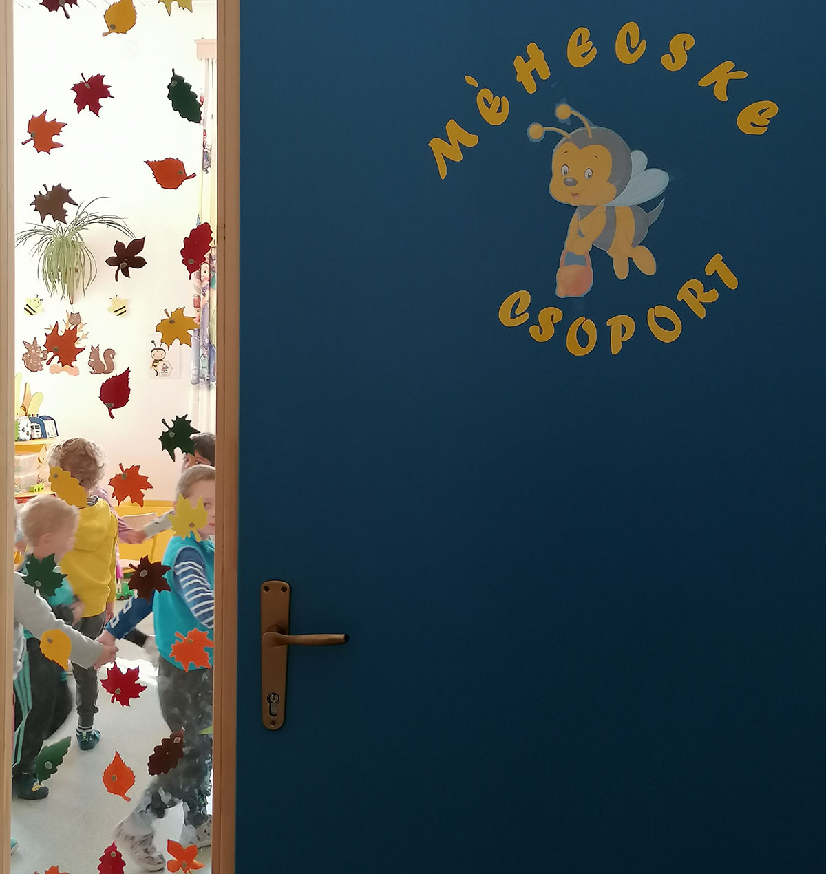 Boncina-Székely Szidónia