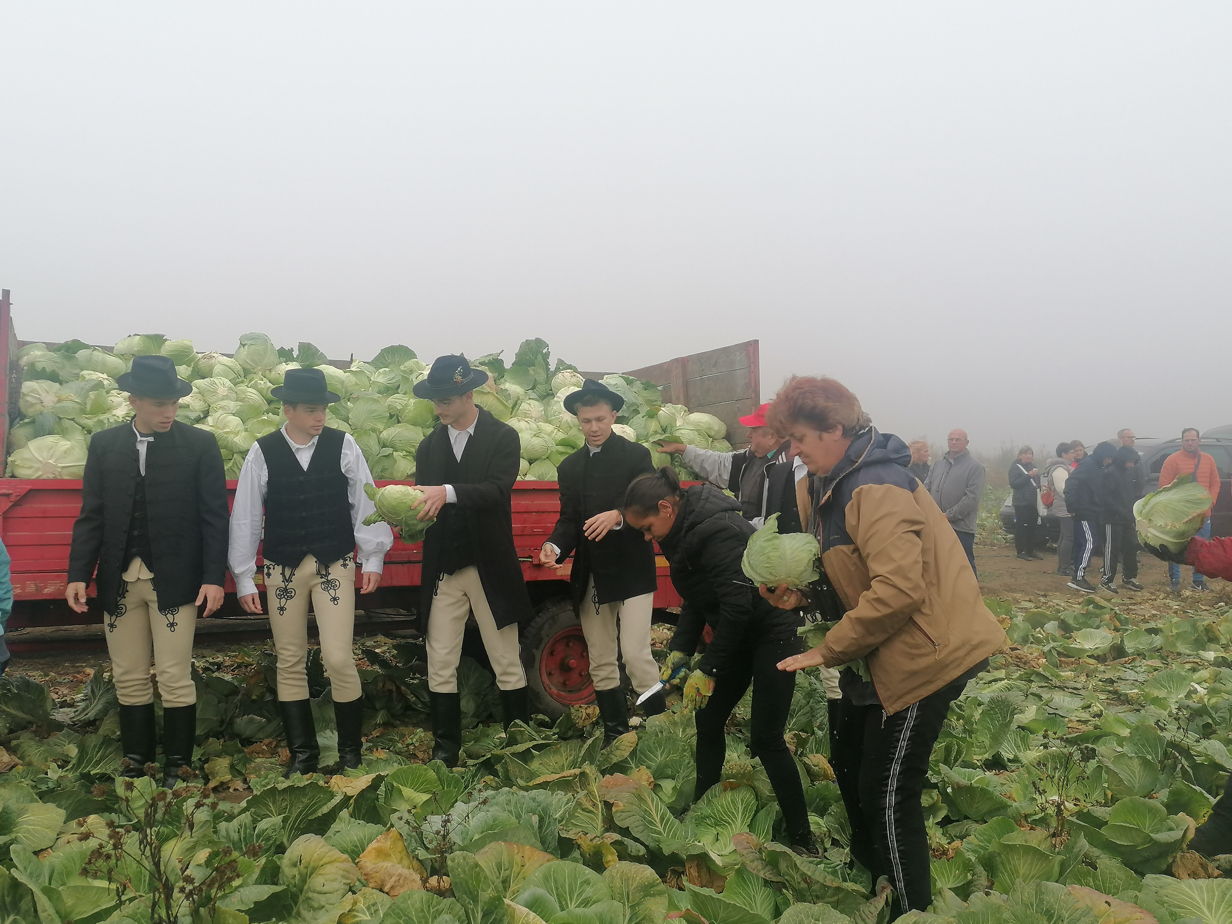 Bonczina Székely Szidónia