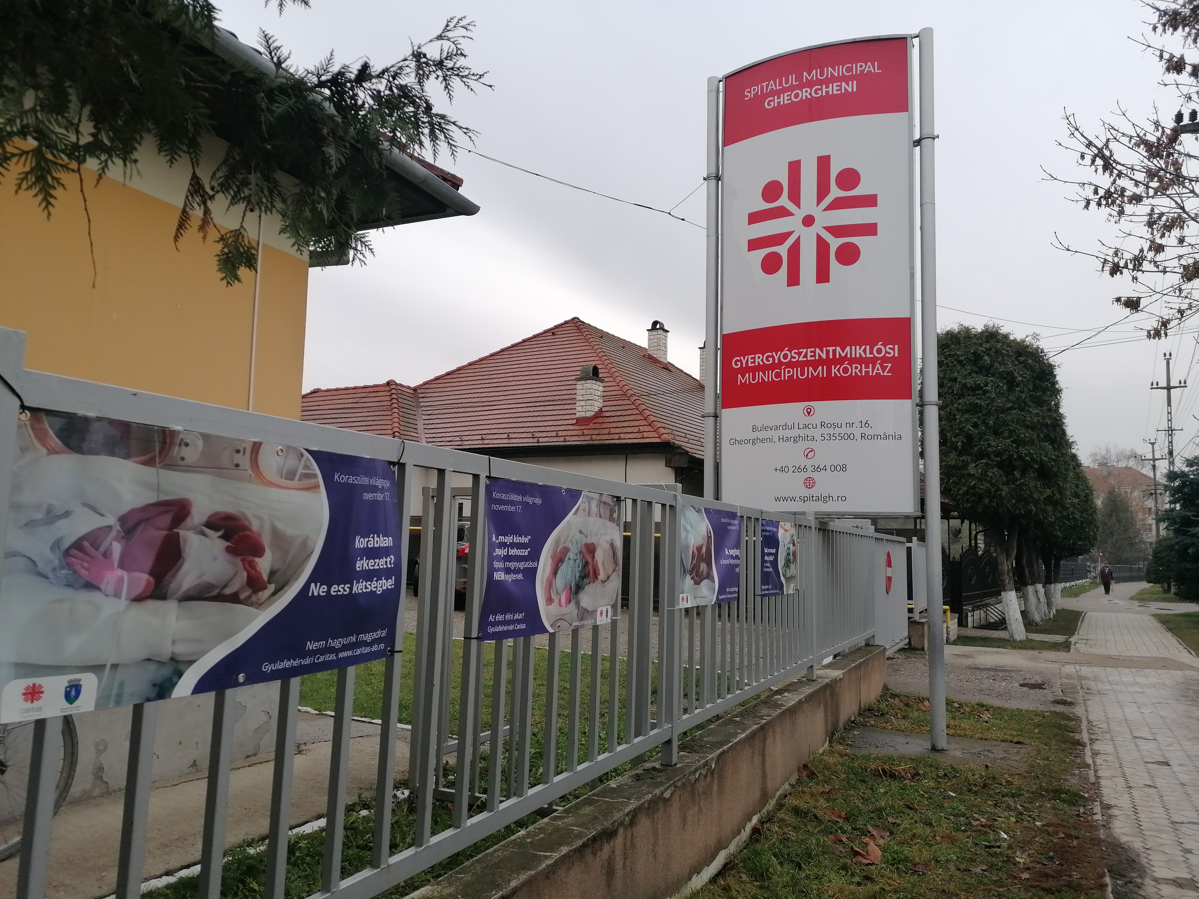 Boncina-Székely Szidónia 