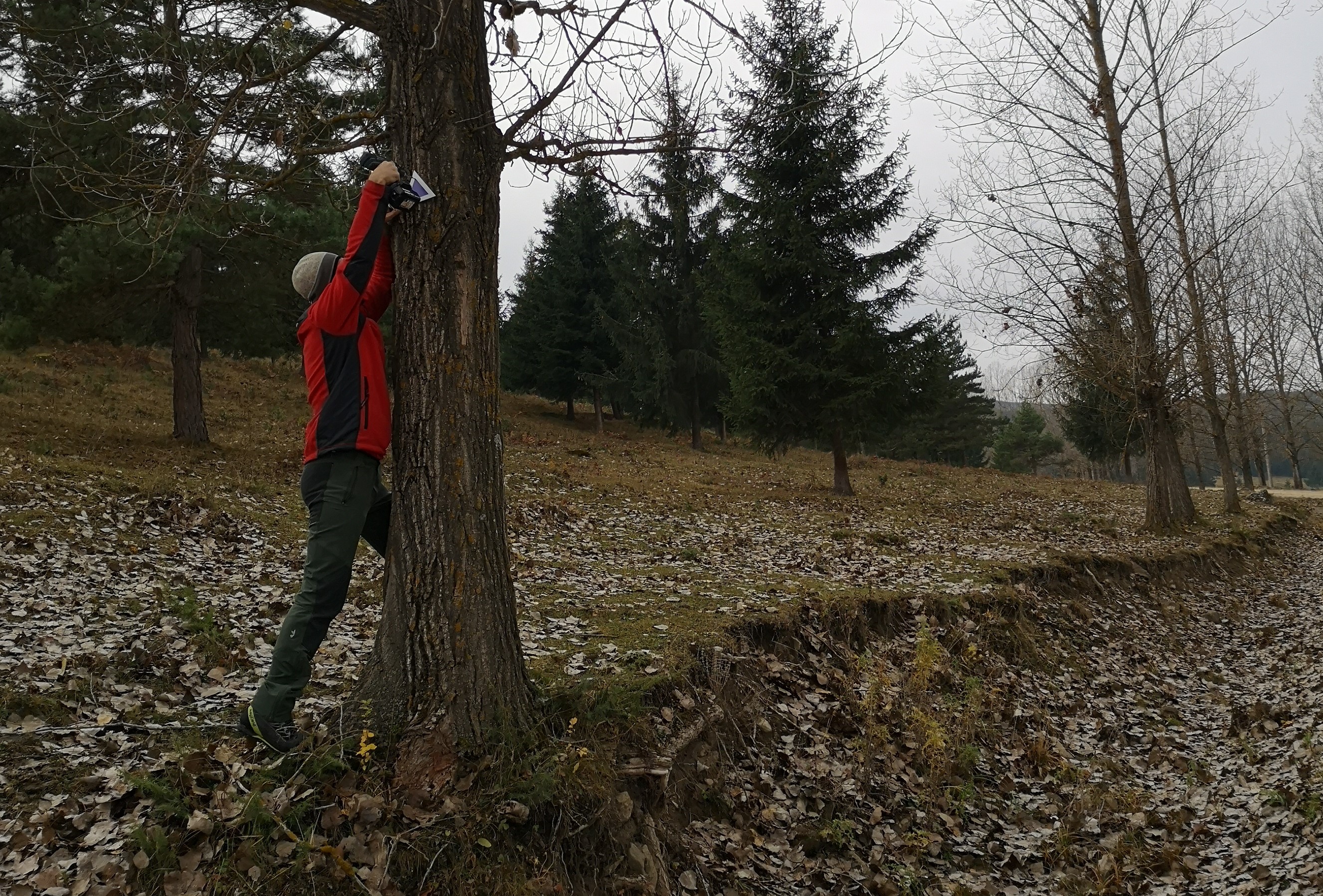 Csíki Hegyimentők Csapata