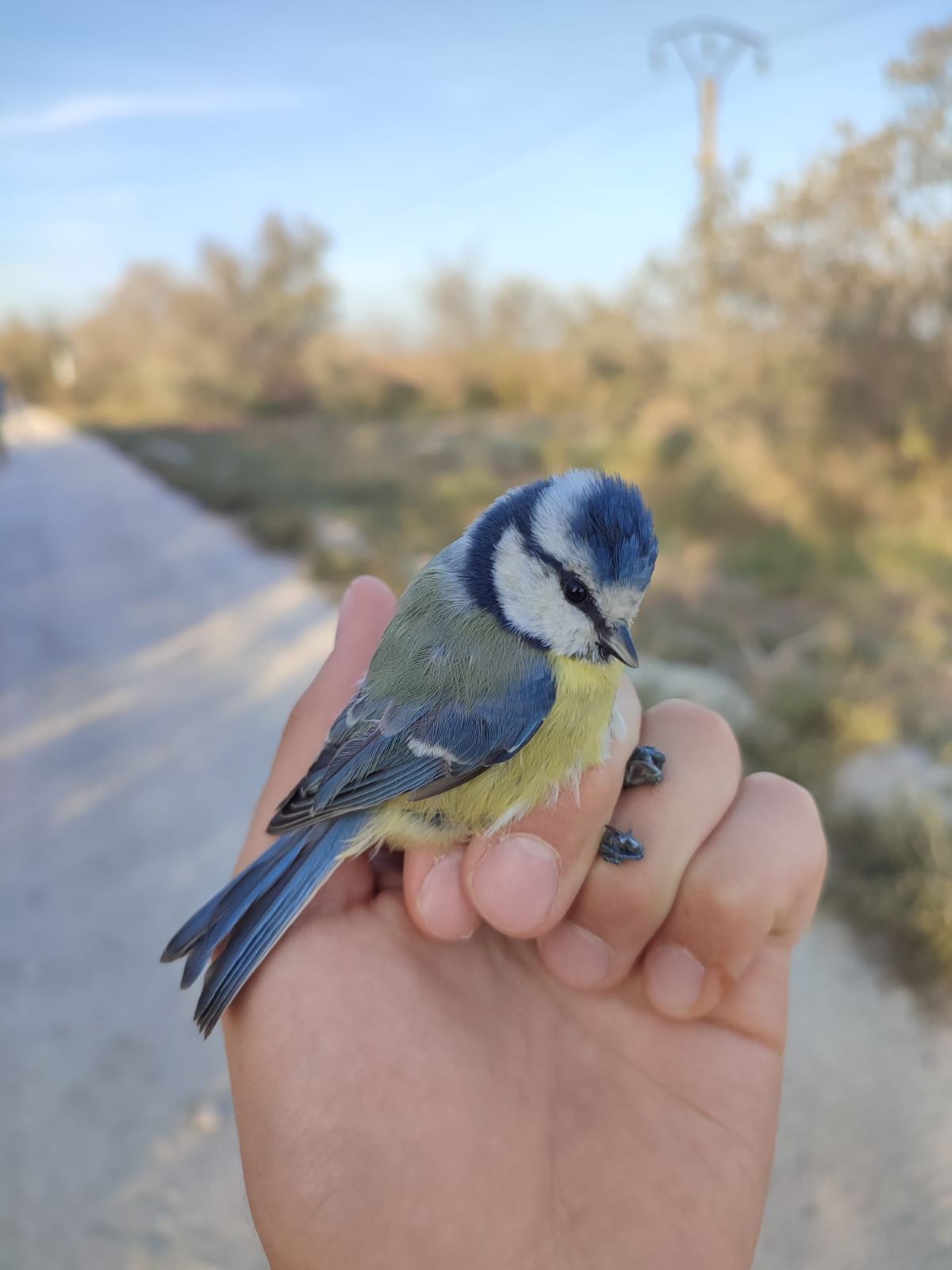 Csont-Kelemen Mátyás archívumából