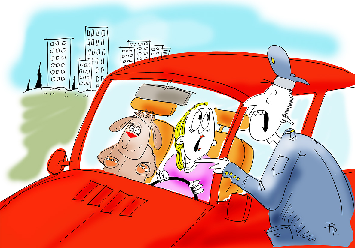 Székely Csürke nem vén tyúk, Para Pista a sztárunk!