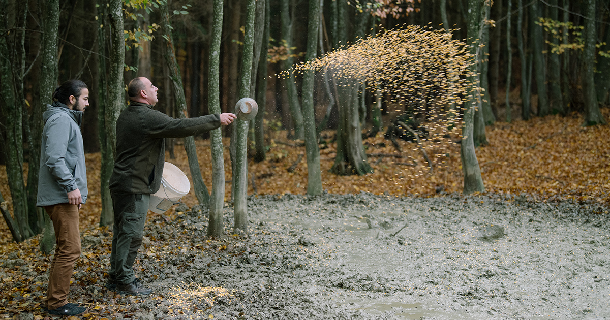 Foglalkozni kéne a foglalkozásokkal