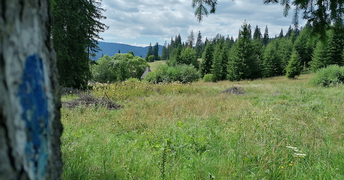 Borszéki Turisztikai Iroda