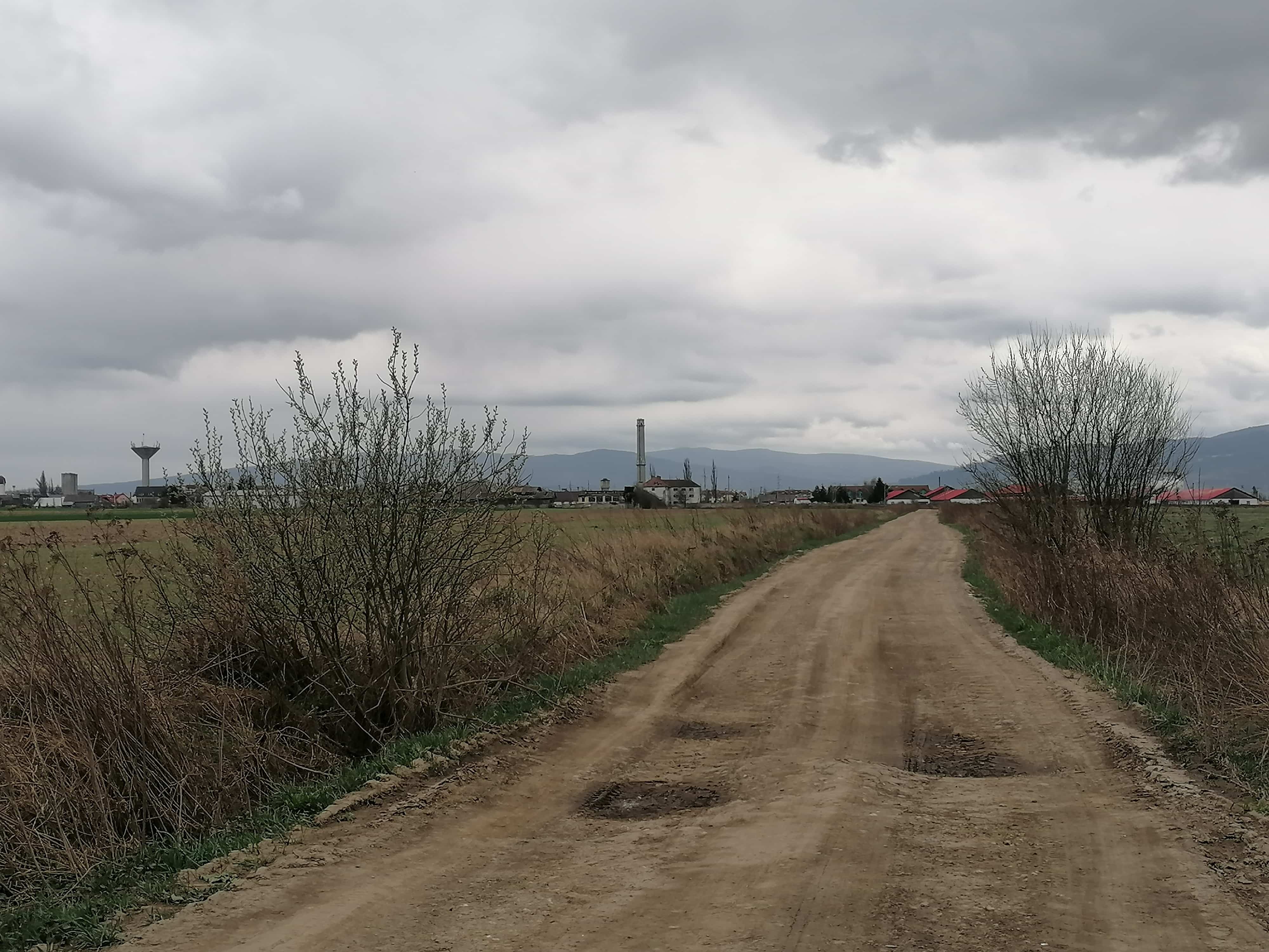 Boncina-Székely Szidónia 