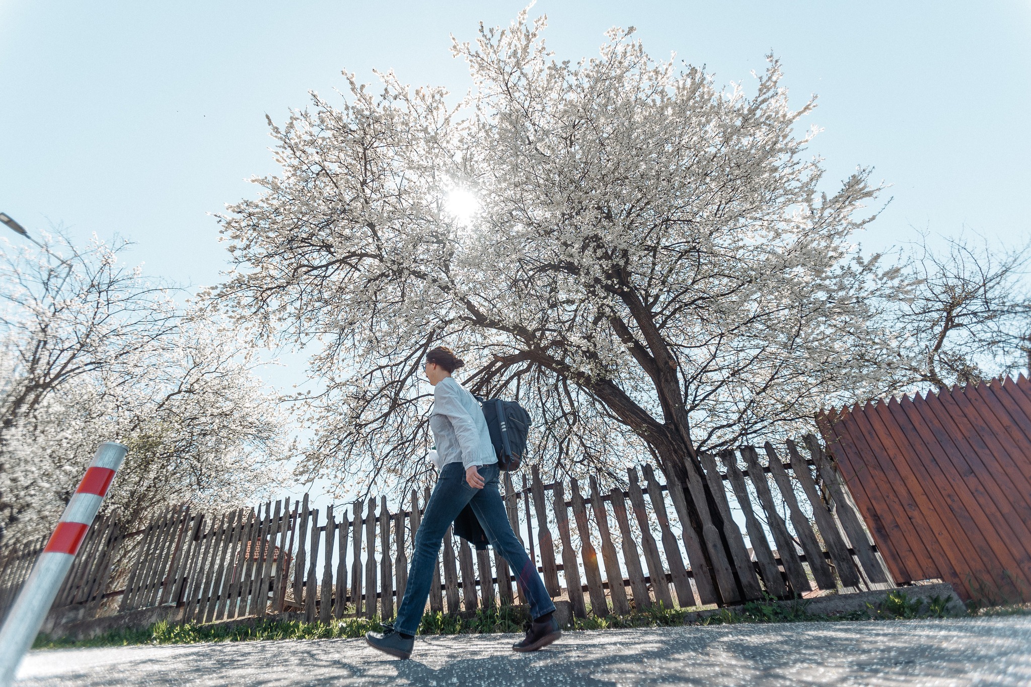 Csíkszereda Városháza/Facebook