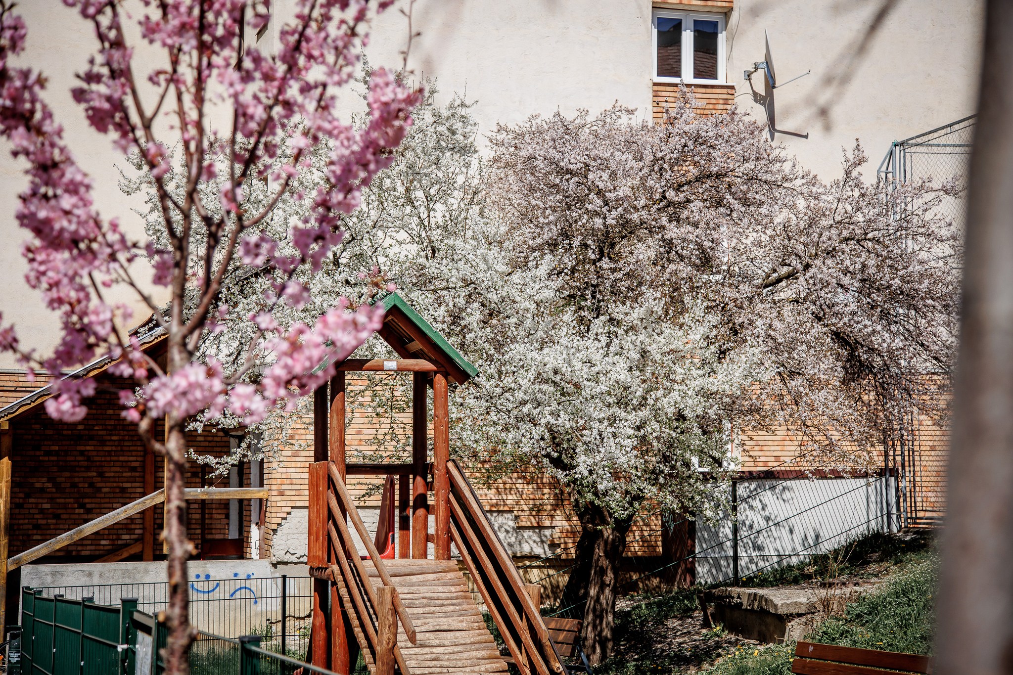 Csíkszereda Városháza/Facebook