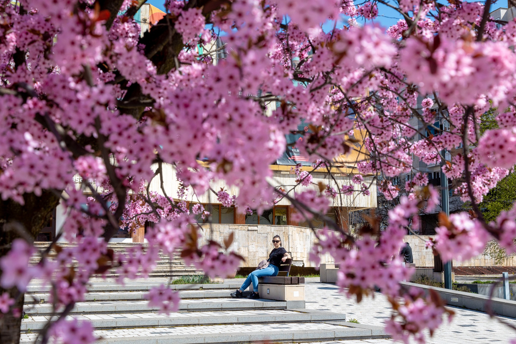 Csíkszereda Városháza/Facebook