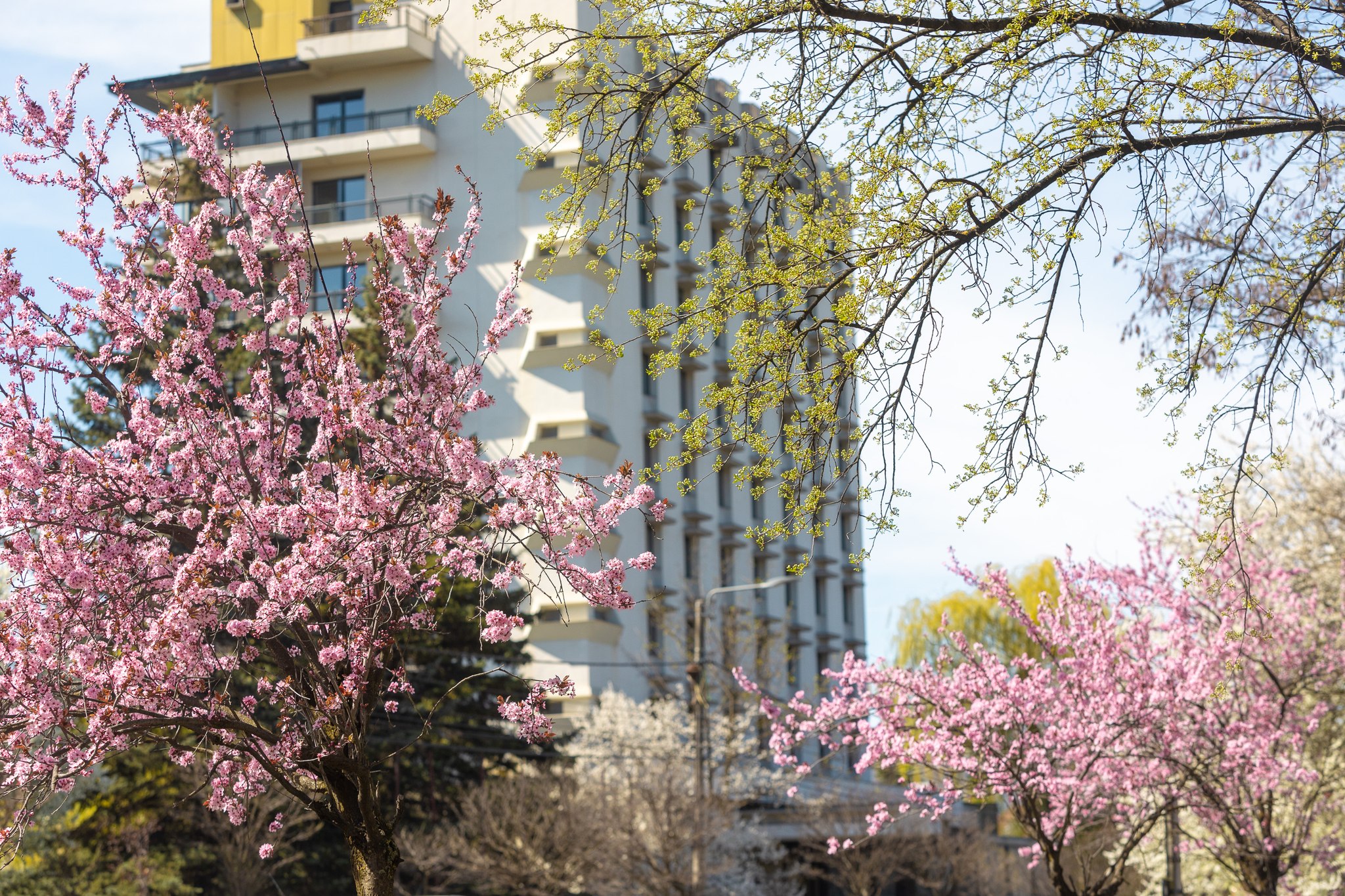 Csíkszereda Városháza/Facebook