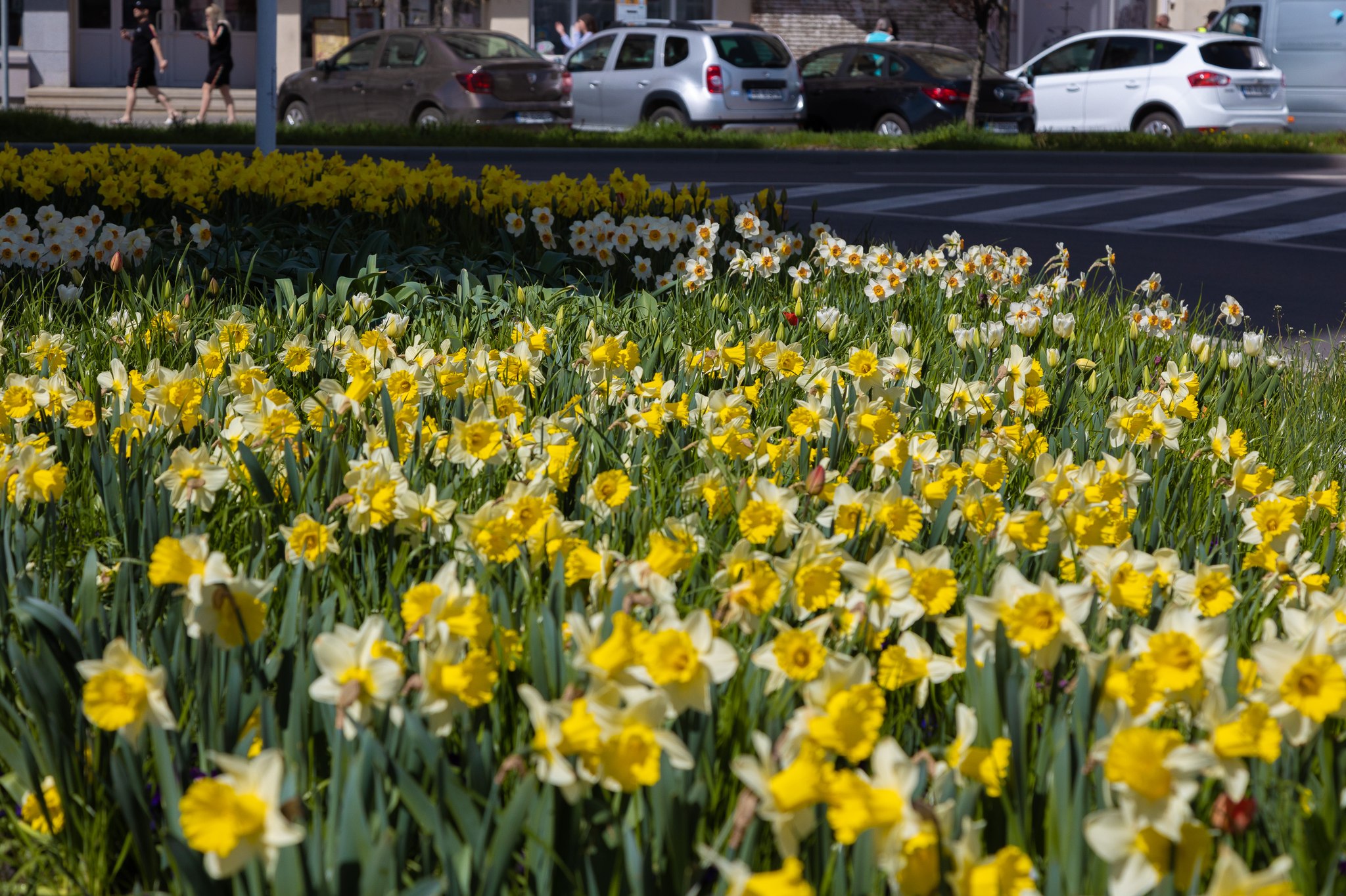 Csíkszereda Városháza/Facebook