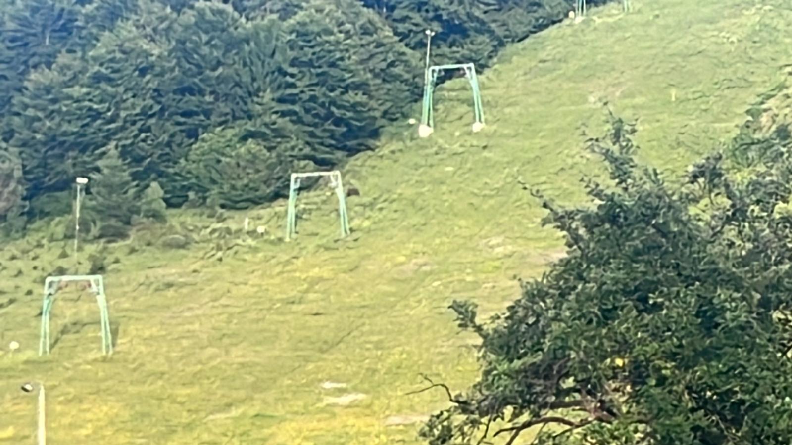 Medvét láttak a Barátok feredője környékén, bocsok is voltak vele Medvét láttak a Barátok feredője környékén, bocsok is voltak vele