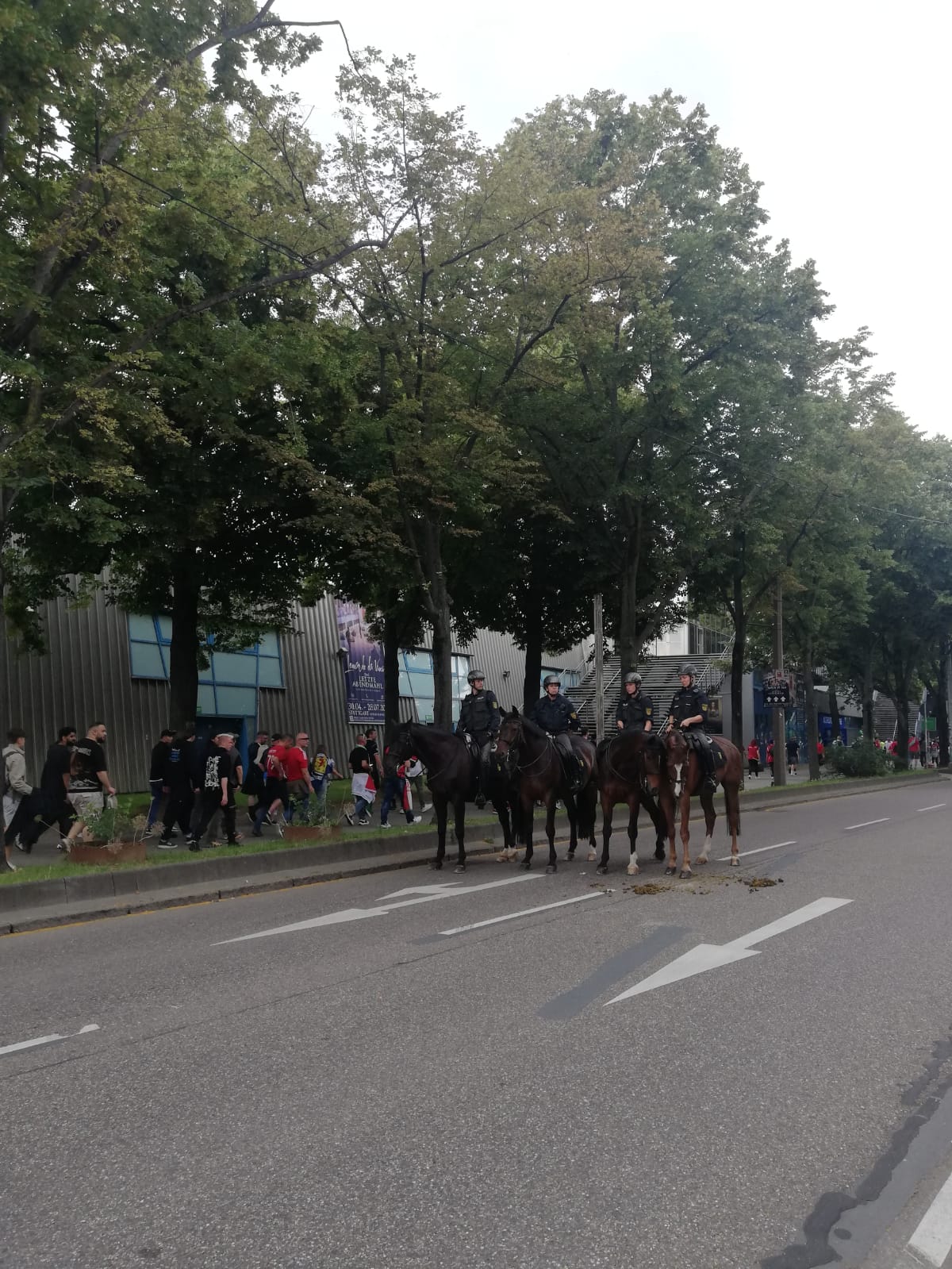 A nagy magyar esély A nagy magyar esély