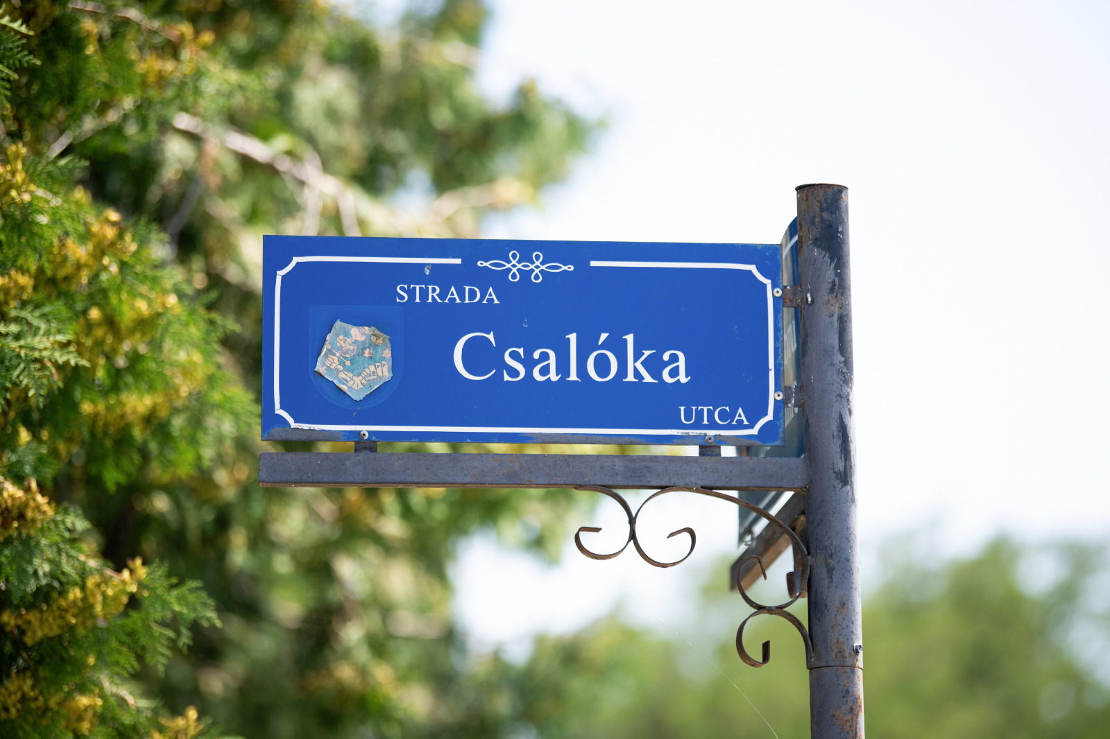 Hamarosan eltűnhetnek a gödrök a Csalóka utcából – igaz, az aszfalttal együtt Hamarosan eltűnhetnek a gödrök a Csalóka utcából – igaz, az aszfalttal együtt