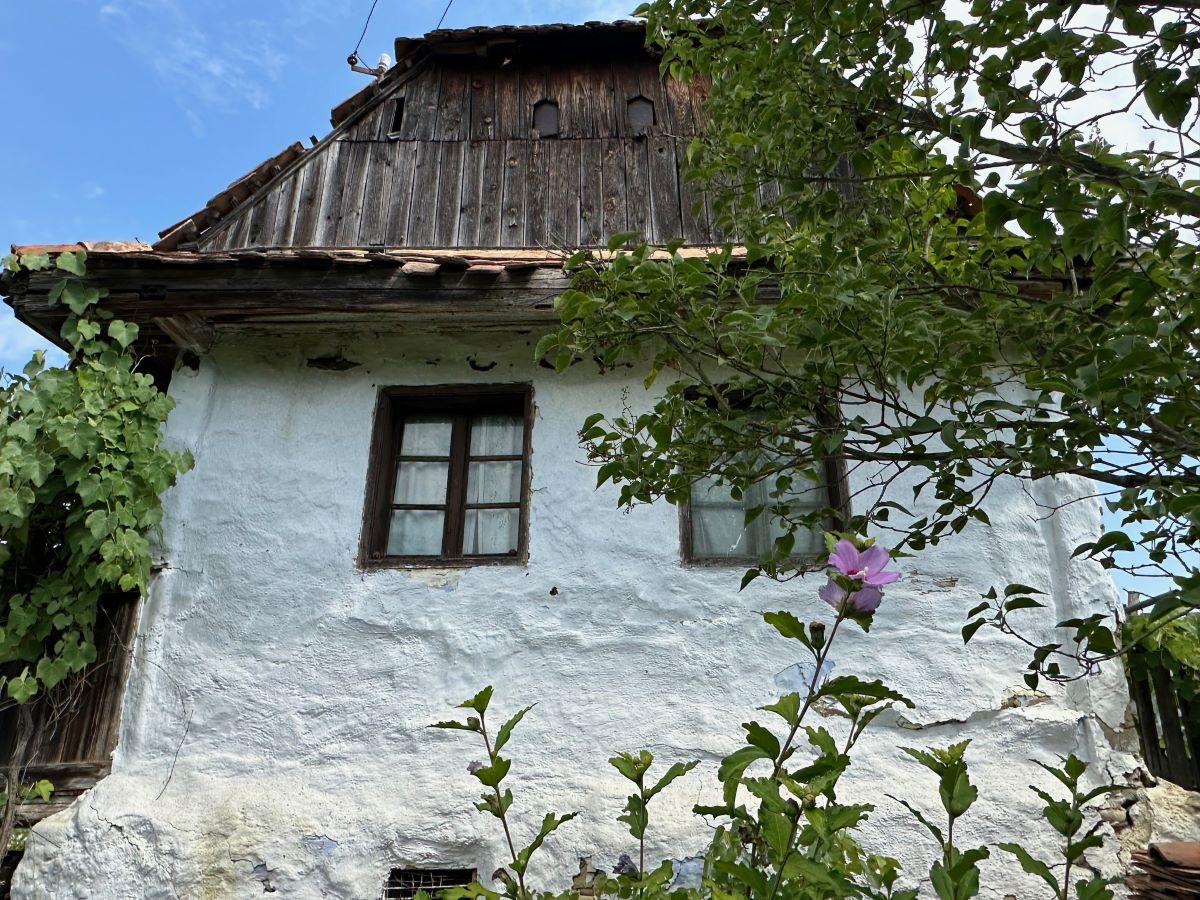 Az őseinkhez való ragaszkodás kötelez Az őseinkhez való ragaszkodás kötelez