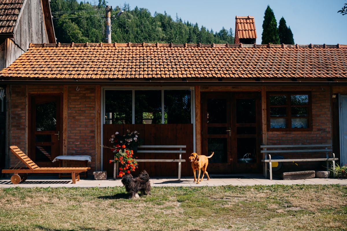 A történeteket tovább kell adni, hogy éljenek