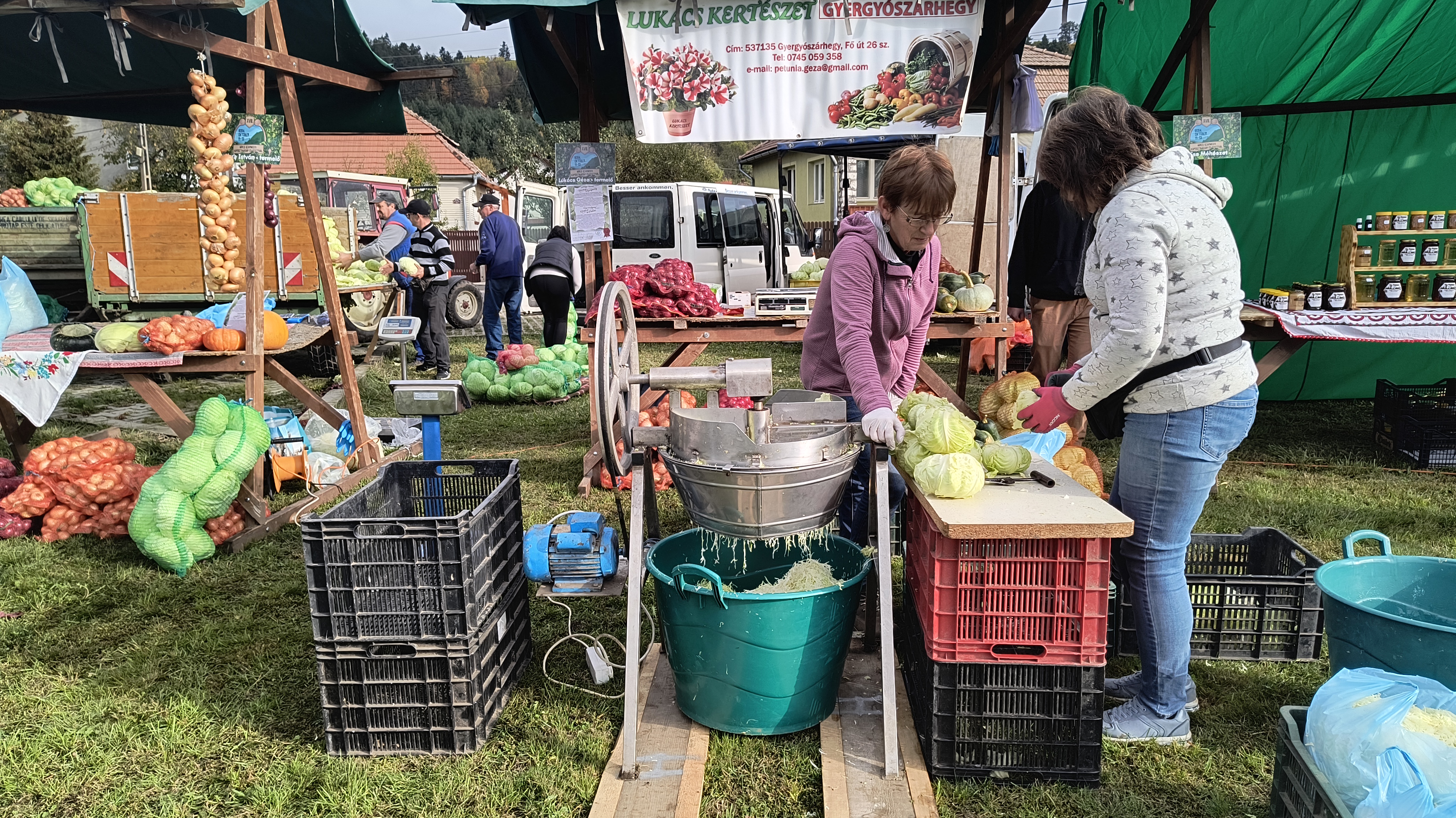 Káposzta mint lehetséges hungarikum? Káposzta mint lehetséges hungarikum?