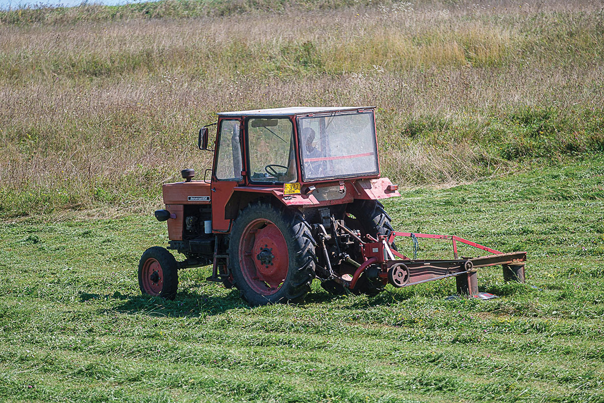 Biztató (kérdő)jelek