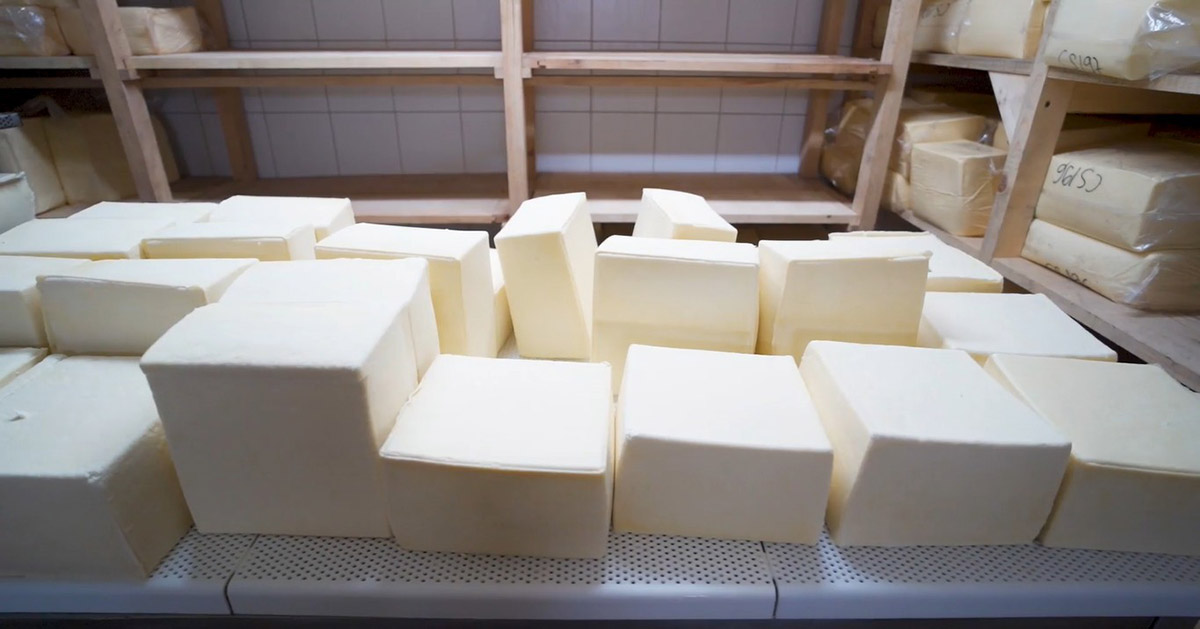 Helyi tejtermékek a gyakorlatban – A PremiLact és a Szépvízi sajtok Helyi tejtermékek a gyakorlatban – A PremiLact és a Szépvízi sajtok