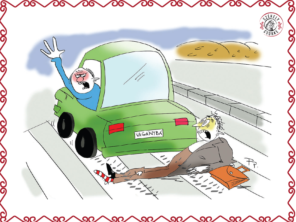 Te csak rajzolj, Parapista, jól áll Csürkén a harisnya!