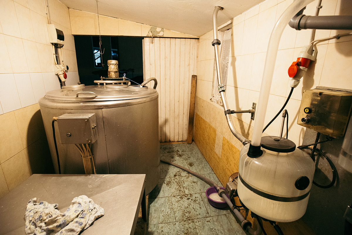 Jobb lett a székelyföldi tej minősége, de az ára nem Jobb lett a székelyföldi tej minősége, de az ára nem