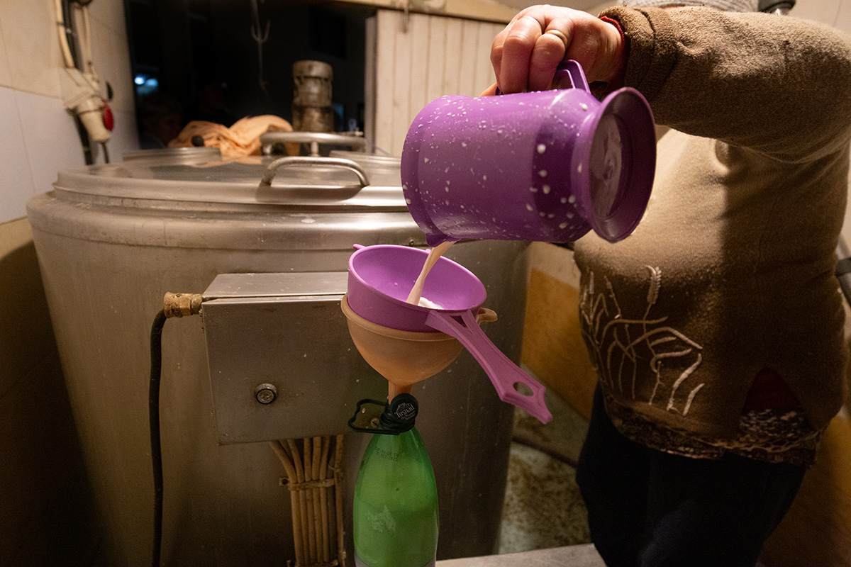 Jobb lett a székelyföldi tej minősége, de az ára nem Jobb lett a székelyföldi tej minősége, de az ára nem