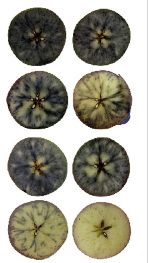 Mindennap egy alma… Mindennap egy alma…