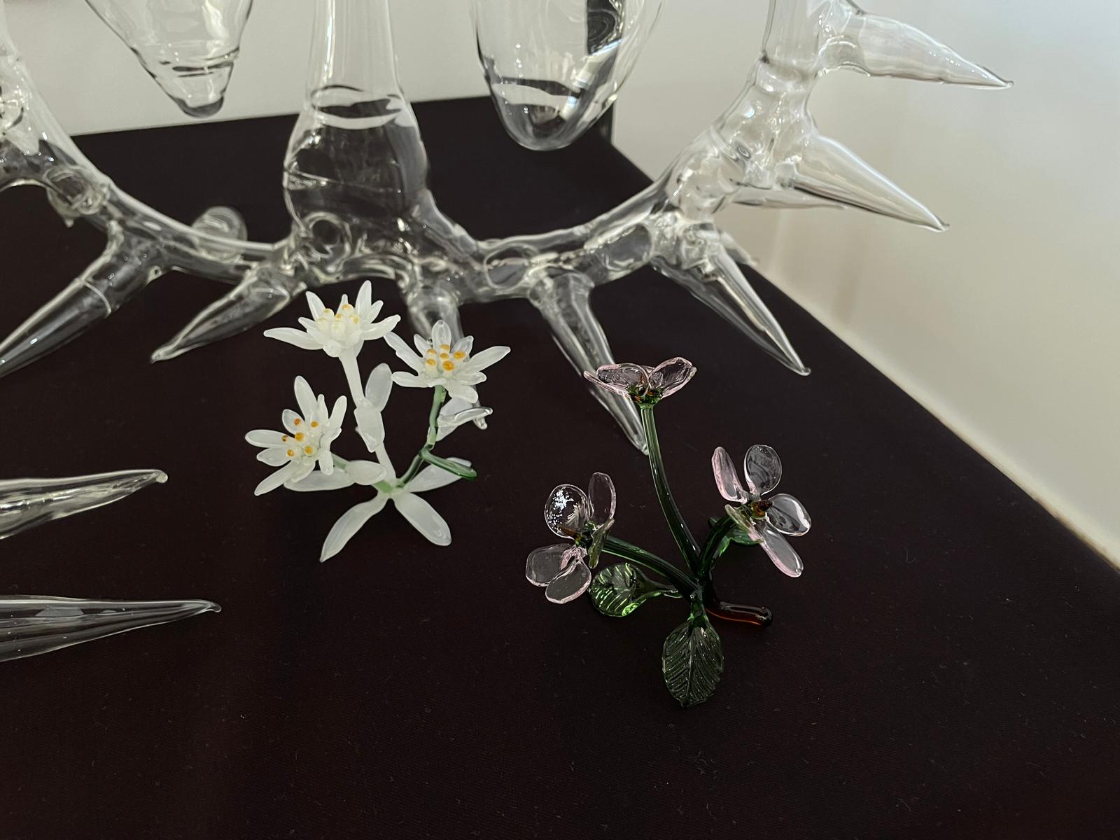 Üveg az üvegen túl Üveg az üvegen túl