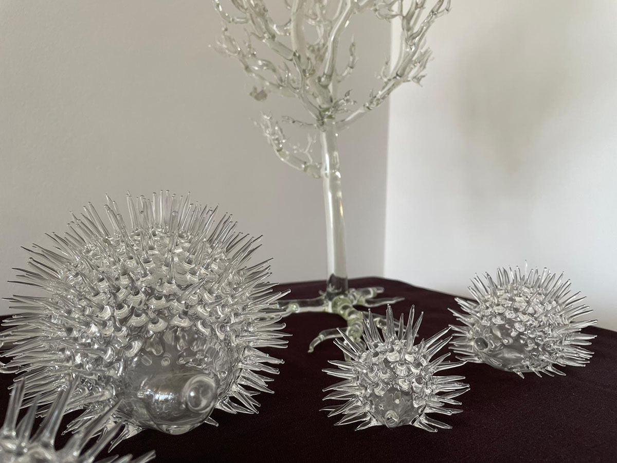 Üveg az üvegen túl Üveg az üvegen túl