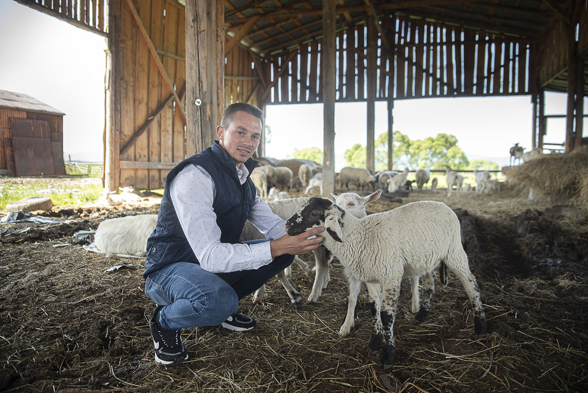 A juhászat is halad a korral A juhászat is halad a korral