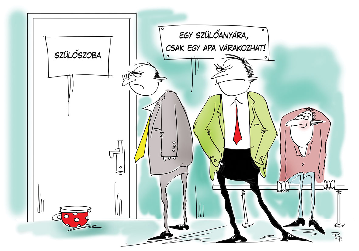 Napi Para