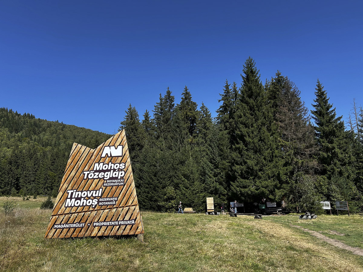 A tőzeglápok varázslatos világa