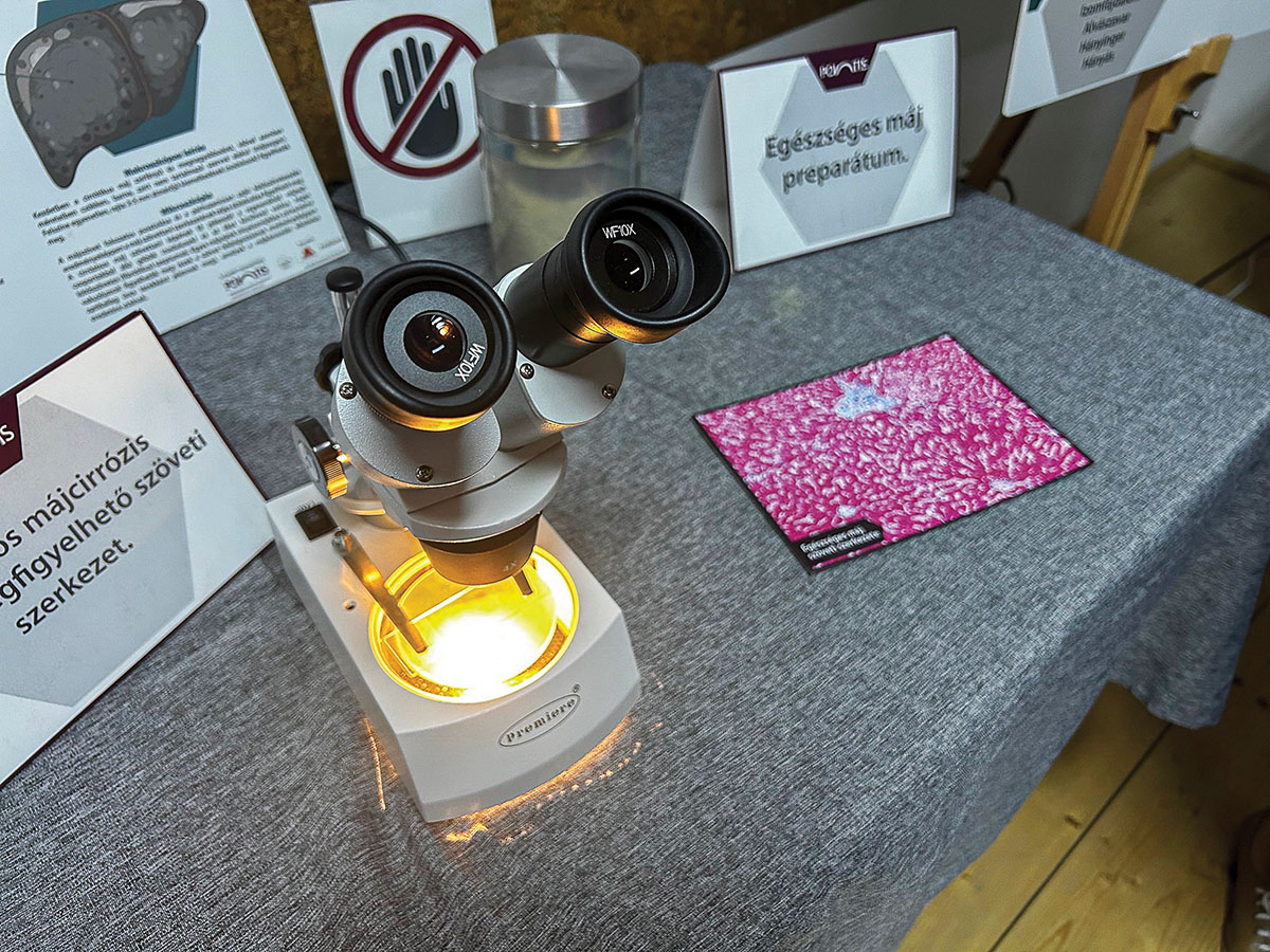 A függőség nem magánügy, hanem közügy