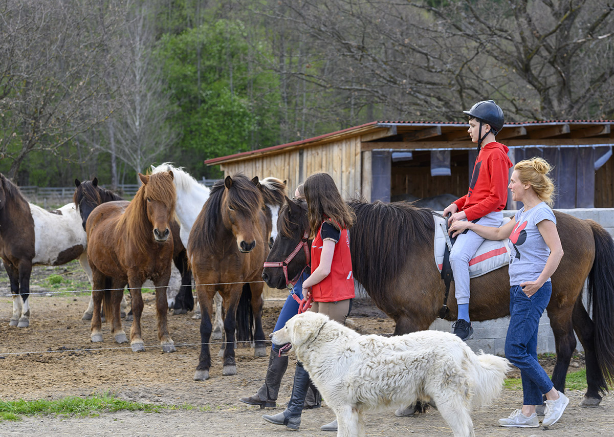 A MOL Gyermekgyógyító? Kik a FEHÉRLÓFIAI? És mit jelent a komplex lovas terápia?