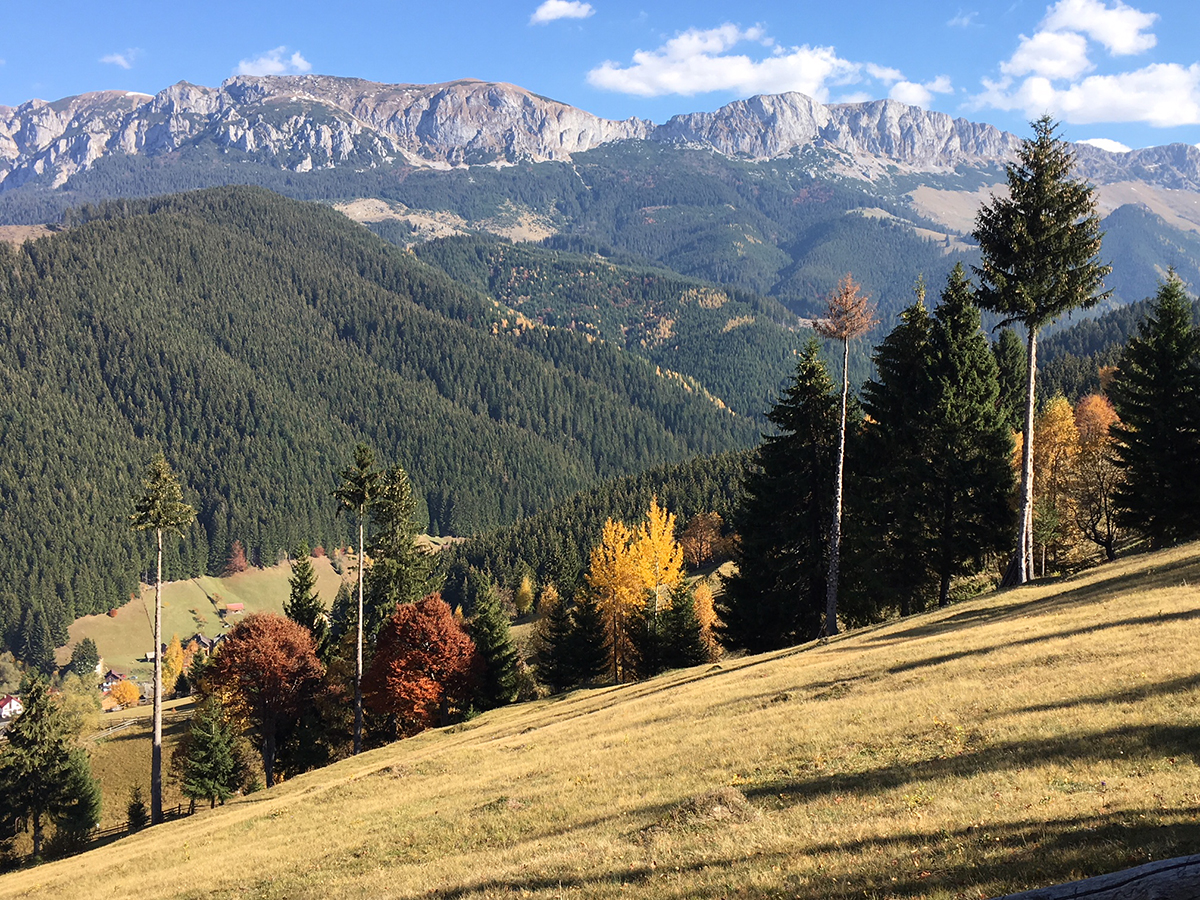 Látnivalók a törcsvári kastélyon túl… Látnivalók a törcsvári kastélyon túl…