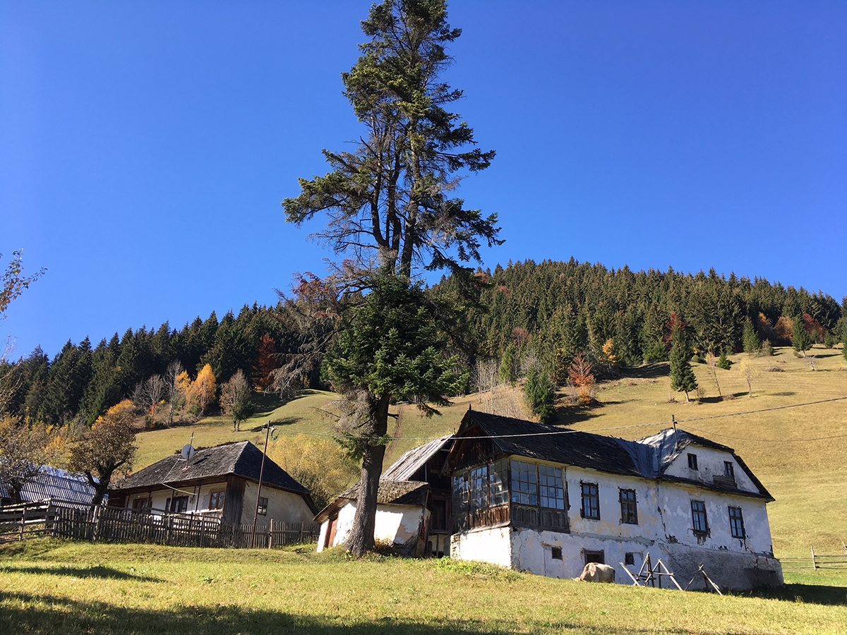 Látnivalók a törcsvári kastélyon túl… Látnivalók a törcsvári kastélyon túl…