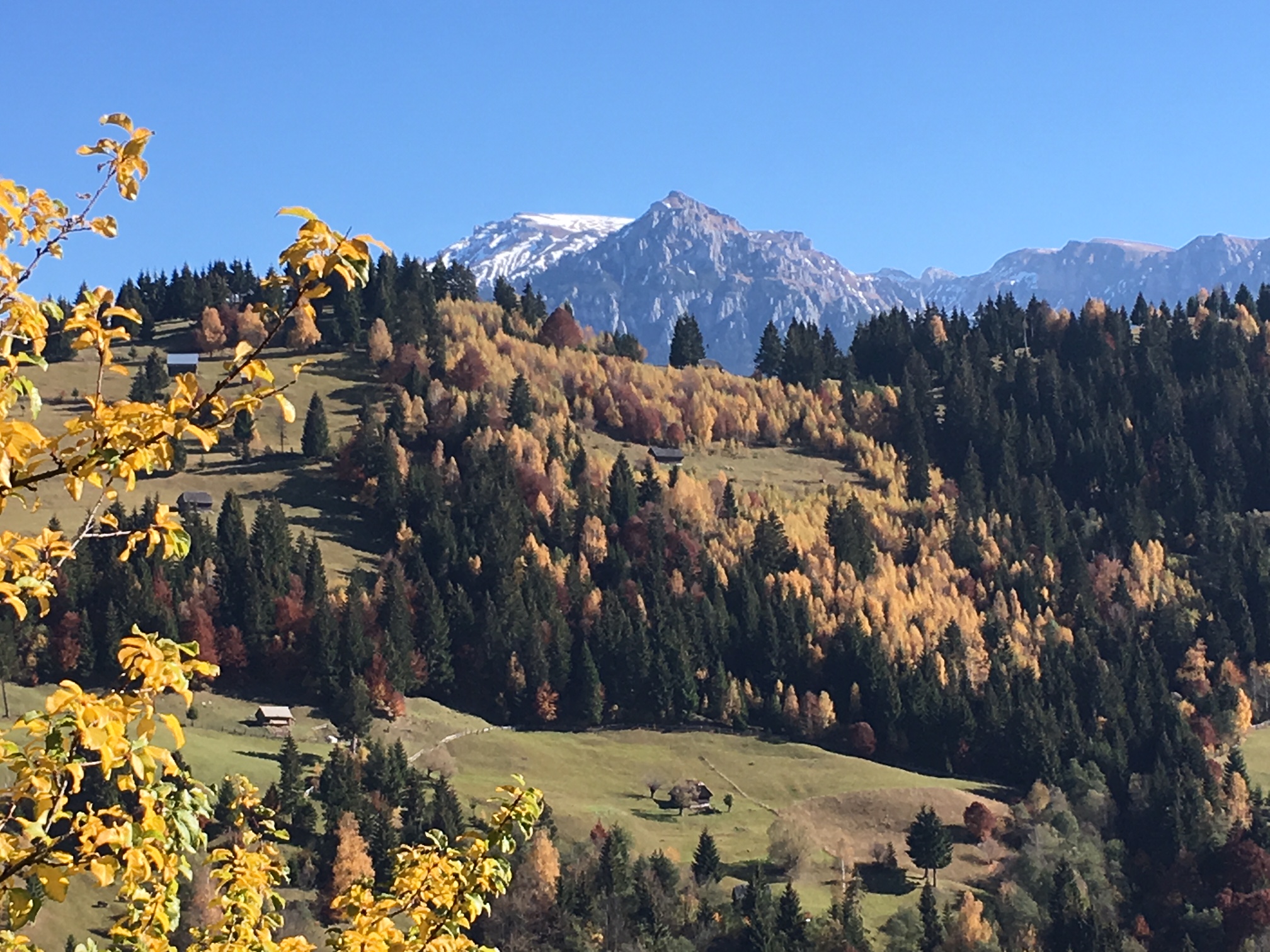Látnivalók a törcsvári kastélyon túl… Látnivalók a törcsvári kastélyon túl…