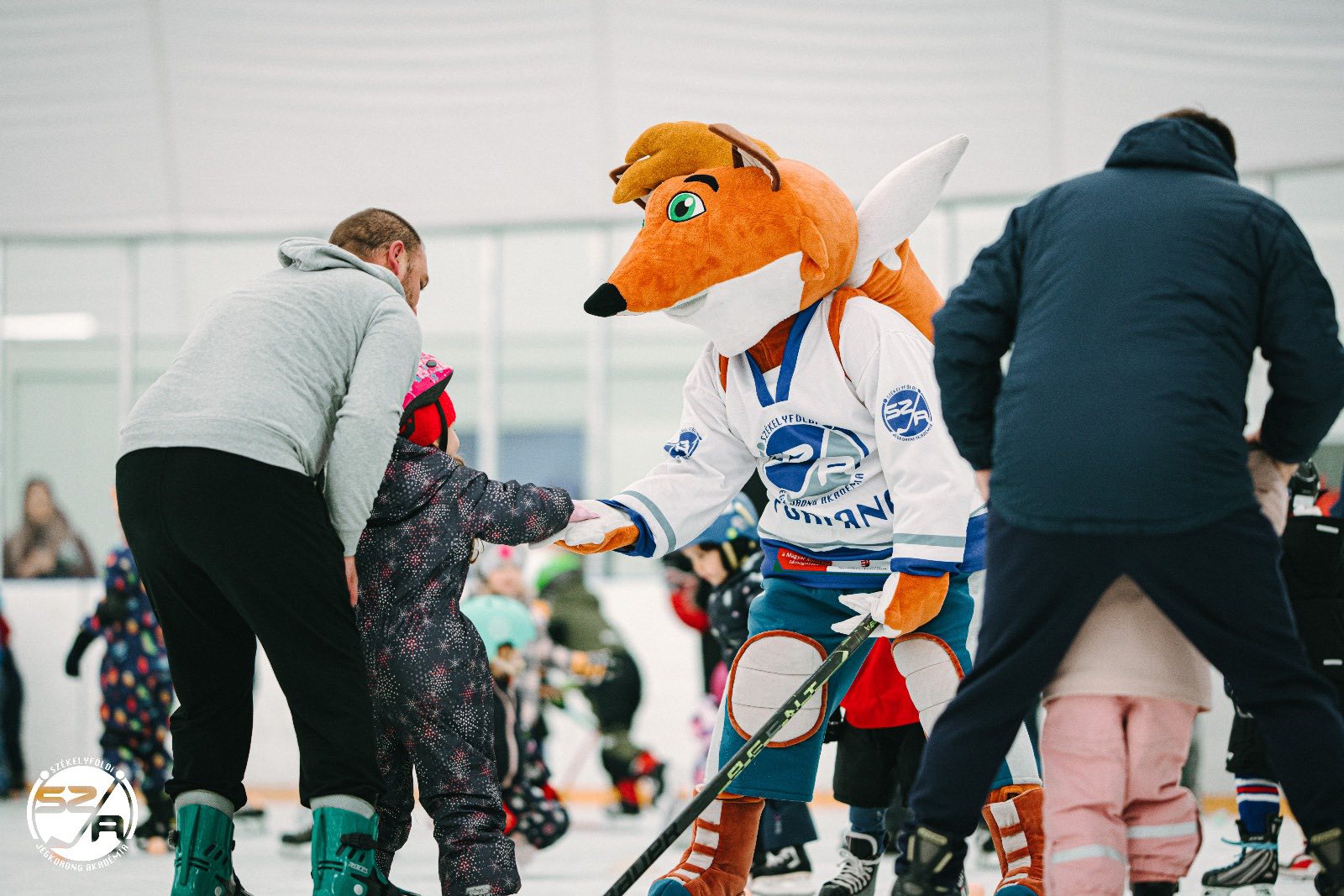 Első lépések a jégen Első lépések a jégen