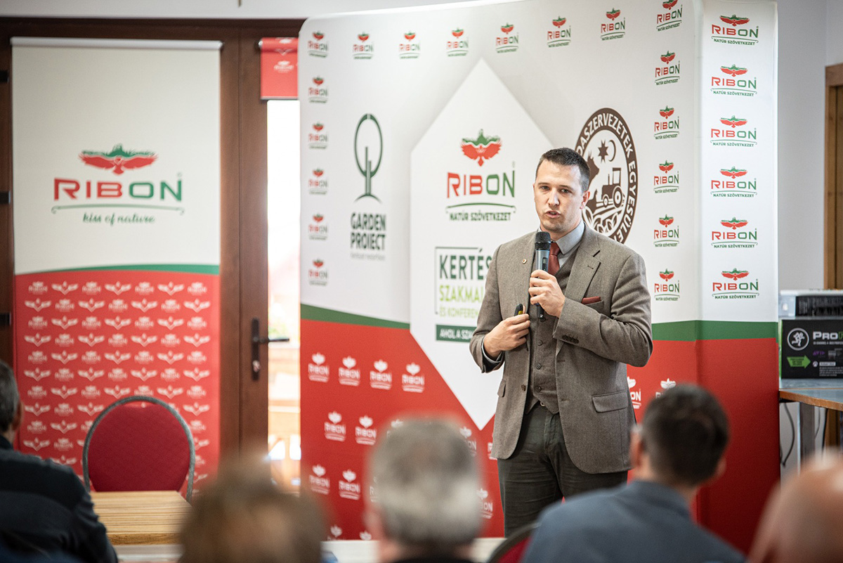 Nagyfehér, a családi gazdaságok sertése Nagyfehér, a családi gazdaságok sertése