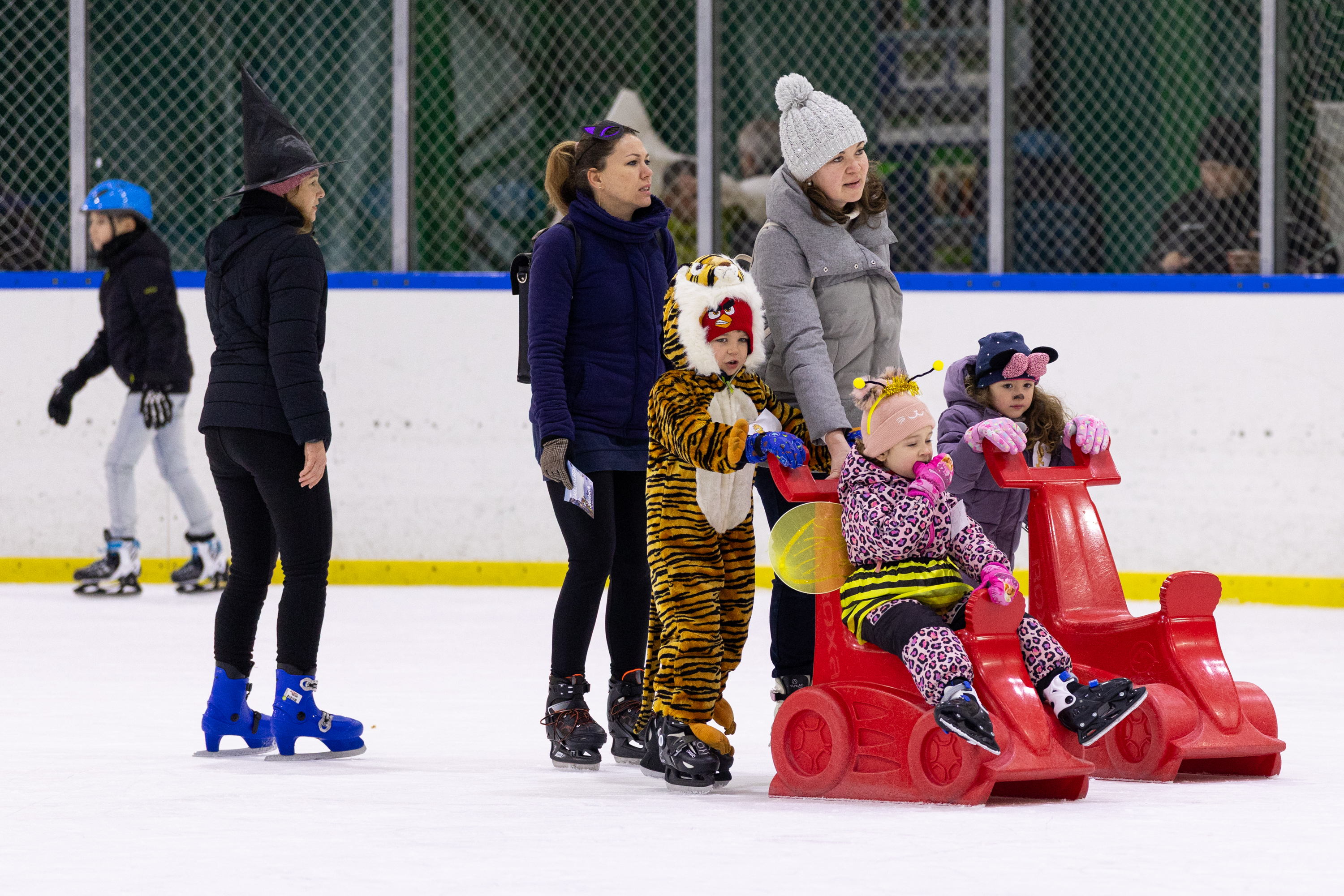 Állati küldetés a jégen