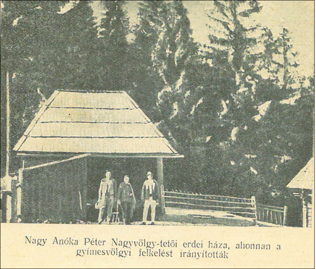 A Könyvkuckó üzenete A Könyvkuckó üzenete