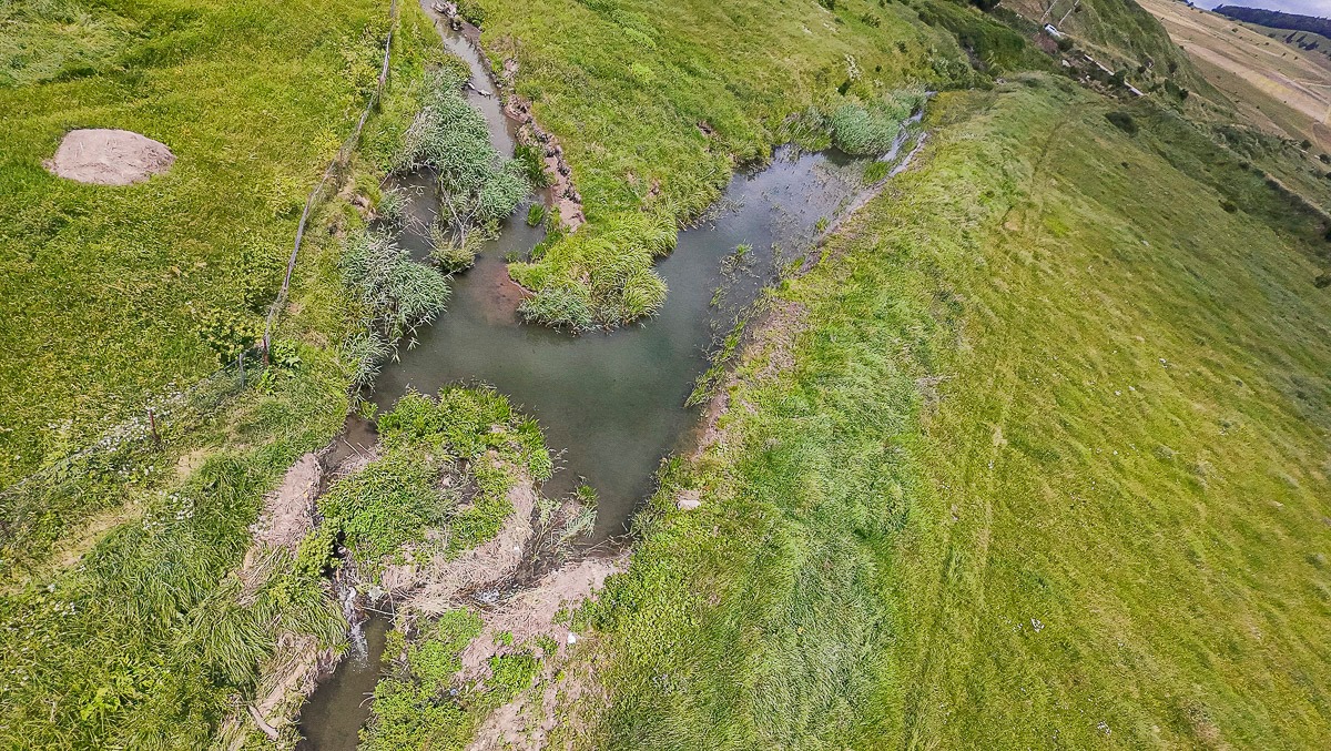 Vizes élőhelyek építőmérnökei: a hódok