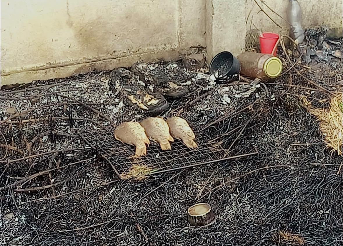 Halat akart sütni, de kigyulladt az aljnövényzet Halat akart sütni, de kigyulladt az aljnövényzet