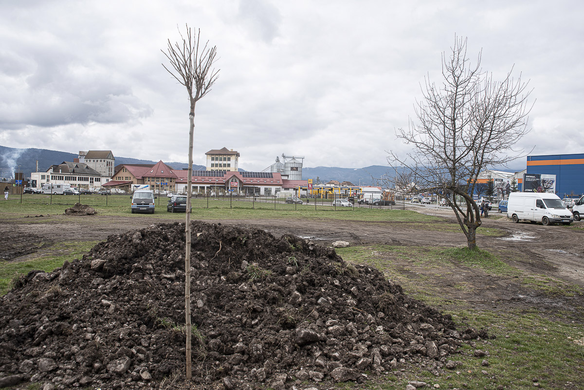 Parkosítják a Nagyrét utca melletti területet