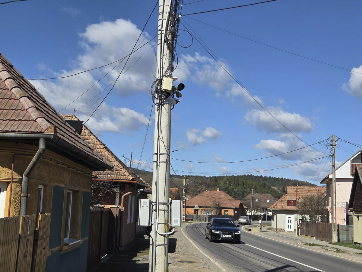 A rönkszállító autókat ellenőrzik