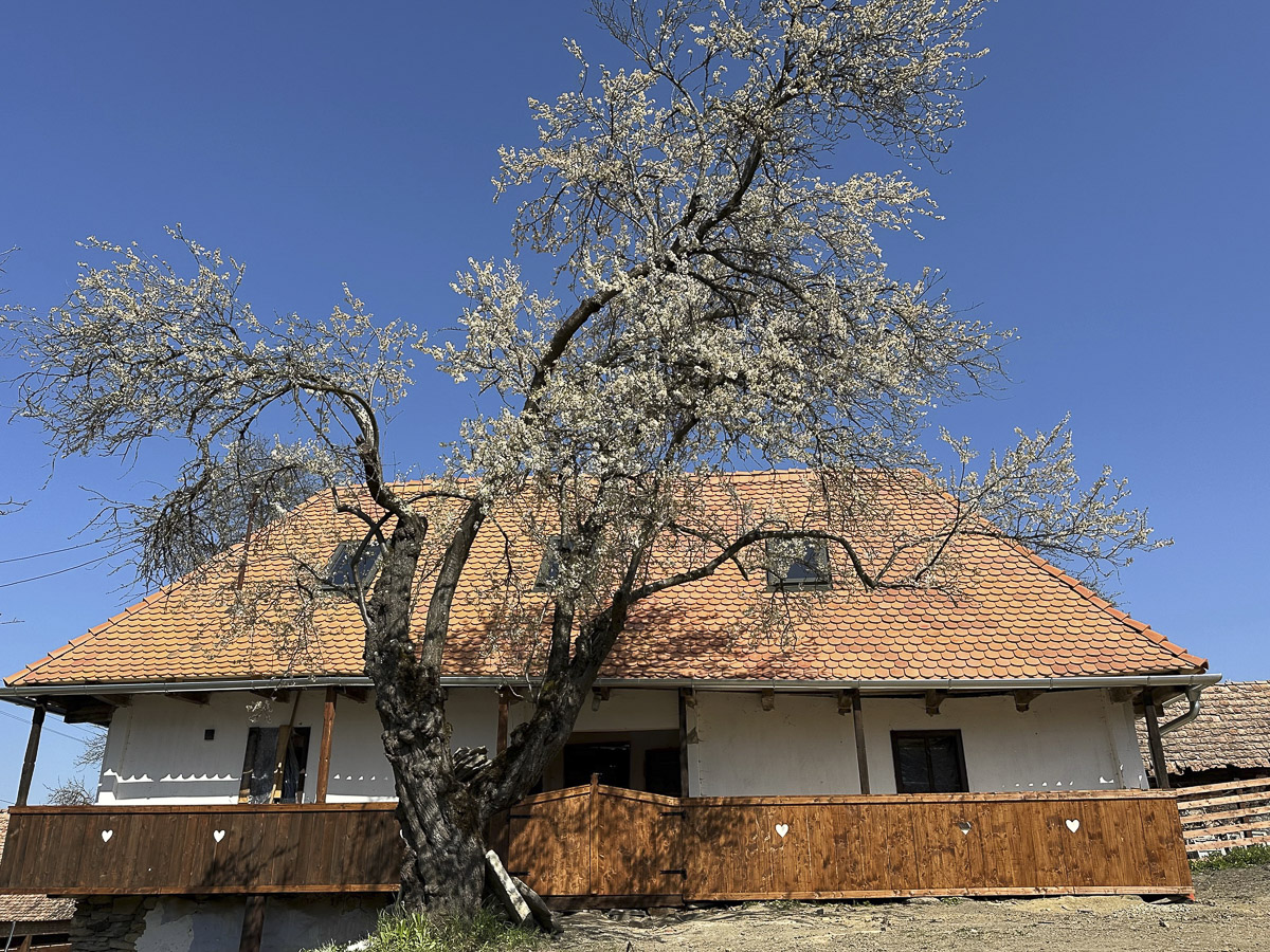 Egy énlaki öreg porta újjászületése