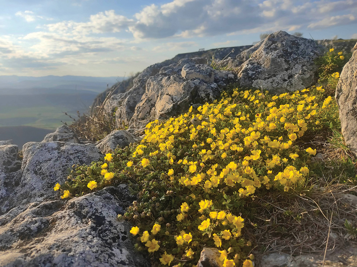 Virágvadászok és sziklamászók paradicsoma
