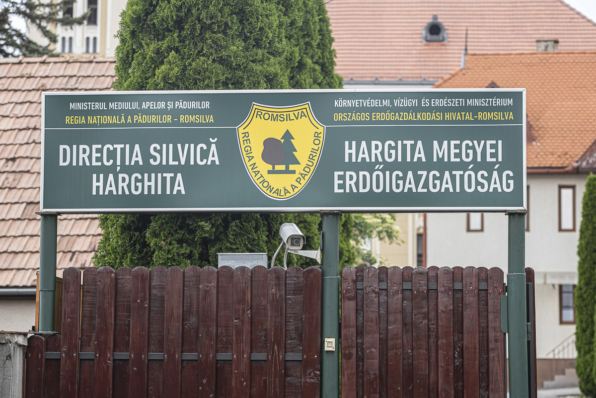 Erdőmérnök: nem hoz valós reformot a Romsilva átszervezése Erdőmérnök: nem hoz valós reformot a Romsilva átszervezése