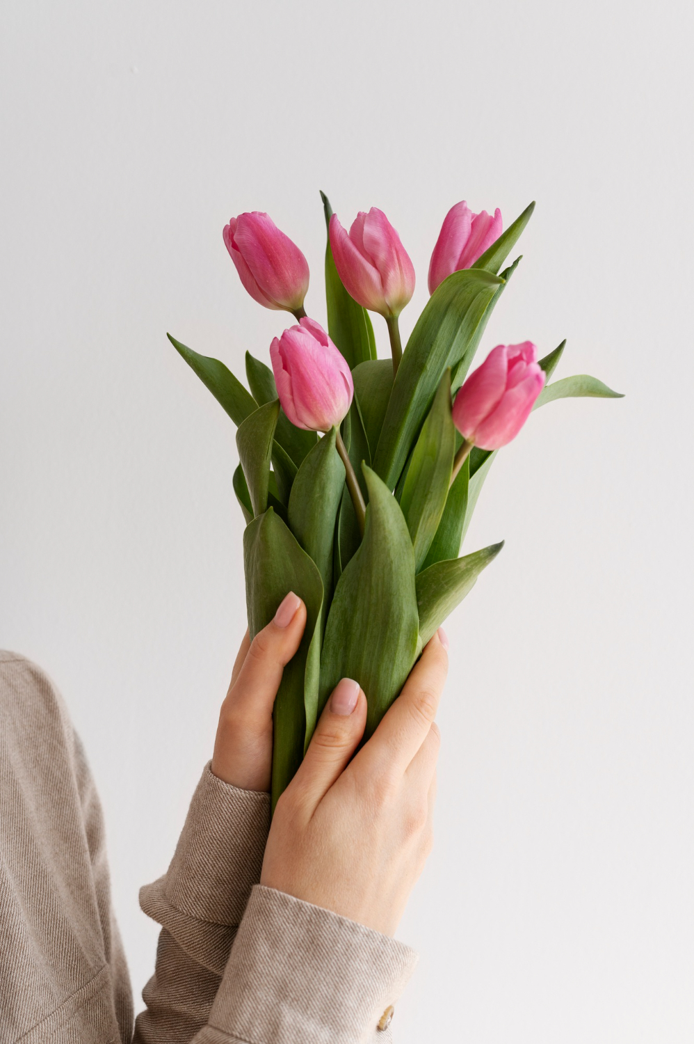 Tulipánmánia