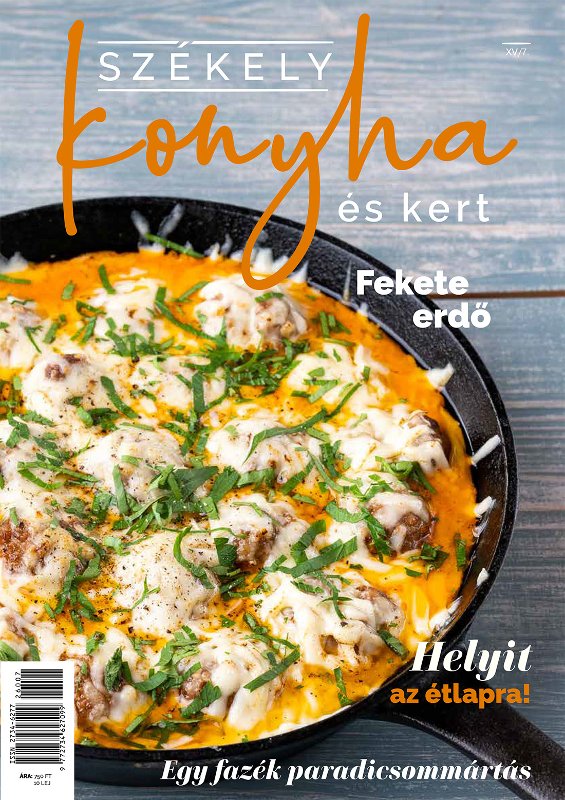 Kiadványaink