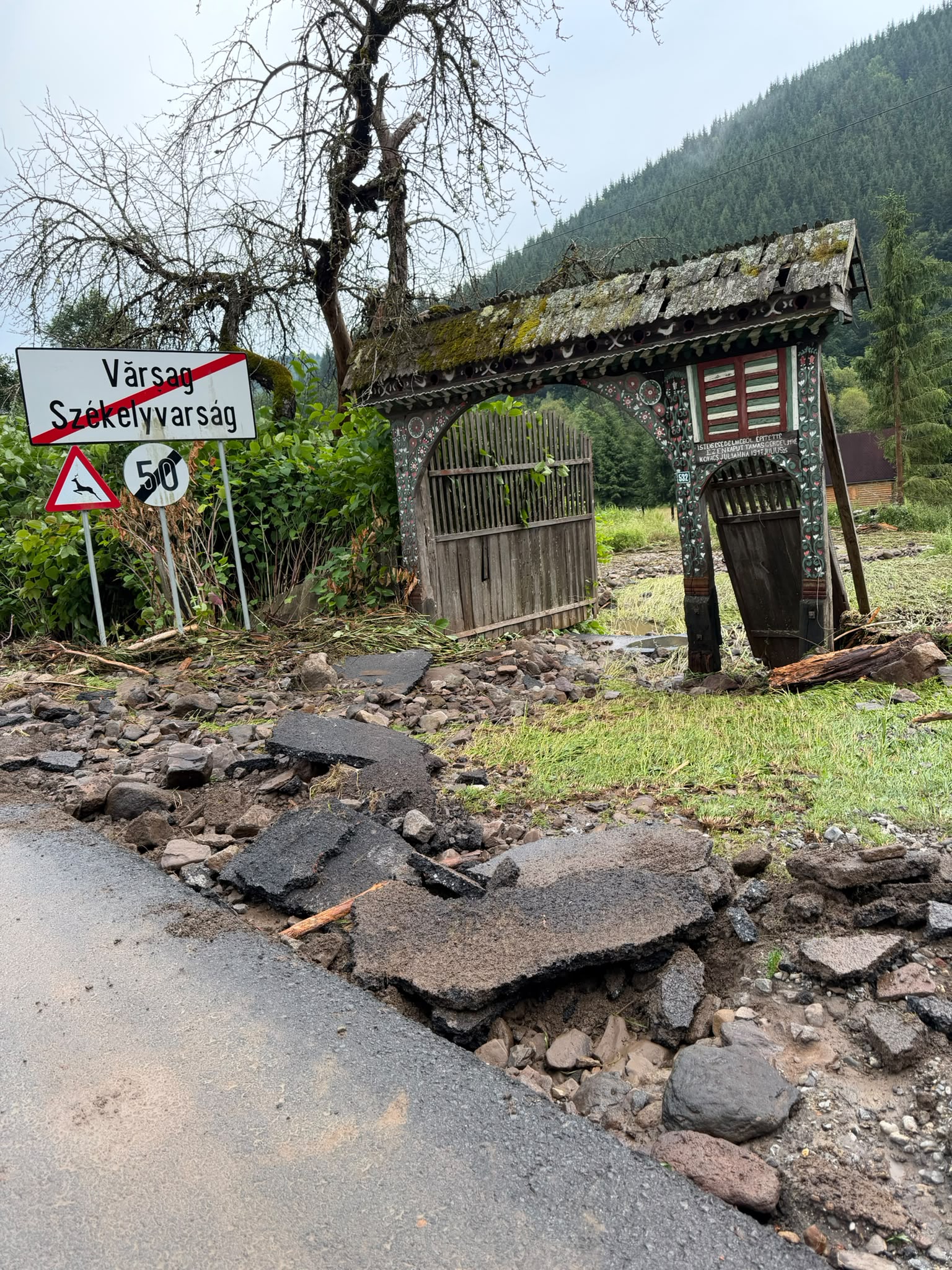 Elmosta az utat a víz, leszakították a vezetékeket a kidőlt fák Elmosta az utat a víz, leszakították a vezetékeket a kidőlt fák